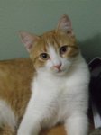 DSCF2794.JPG