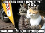 PlottingCats.jpg