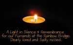 rainbow bridge candle.jpg