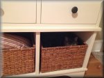 TrixsWinterHideOUt.JPG
