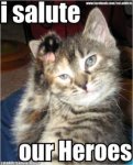 veteran cat 2.jpg