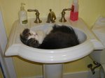 sinkmikeysm.jpg