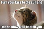 face to the sun.jpg