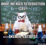 resized_chemistry-cat-meme-generator-what-we-need-to-reduction-co2-answer-cat-alyst-d835dd.jpg