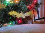 lola xmas garland.jpg