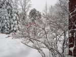 IMG_0785.JPG