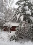 IMG_0783.JPG