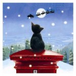 cat_christmas[1].jpg