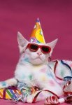 cat party 2.jpg