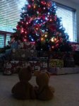 BEAR Bear II and the tree.jpg