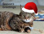 seasonsgreetingsfromtiger1225141.jpg