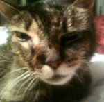 really sick girl.jpg