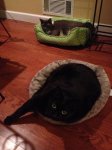 Simon and Missy2.JPG