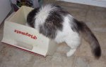 DocIceChest15Jan15.jpg