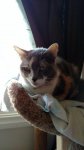 IMG_20150101_132408094.jpg