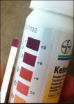 KETOSTIX.JPG