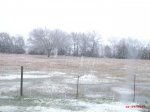 TexasSnow.JPG