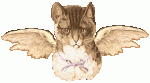 Beautiful_Angel.gif