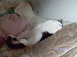 Michael napping.jpg