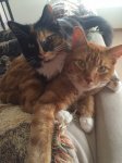 Otis and Coco.jpg
