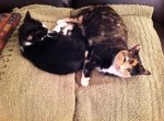IMG_0559.JPG