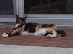 IMG_0264.JPG