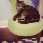 Screen Shot 2015-05-05 at 6.27.13 PM.png