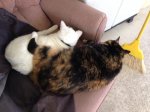 1920405_10201611537030736_85422178_n.jpg