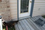 IMG_0528.JPG IMG_0528.JPG