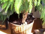 100_2143.JPG