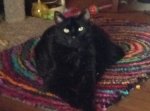image.jpeg