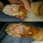 IMG_20160207_213123.jpeg