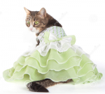 Green dress.png