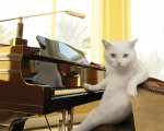 playing piano.jpg