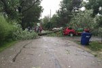 storm damage4.jpg