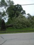 storm damage2.jpg