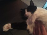image.jpeg