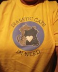 Diabetic Cats in Need t-shirt.jpg