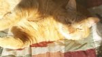 20150222_151234.jpg