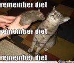 diet.jpg