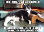 MostInterestingCatInTheWorld.jpg
