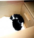 Vinney&Maisey52499.jpg