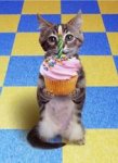 Birthday-Cat-with-Cupcake.jpg