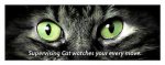 Supervising-Cat-Watching-You.jpg