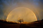SunsetRainbow with tree.jpg