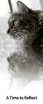 A-time-to-reflect.jpg