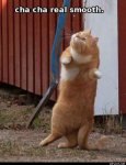 thumb_Cha_Cha_Real_Smooth.jpg