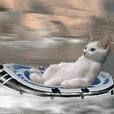 cat raft.jpg