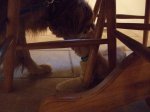 Bear & Oliver.jpg