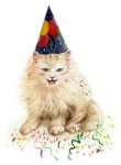 happy_birthday_cat.JPG